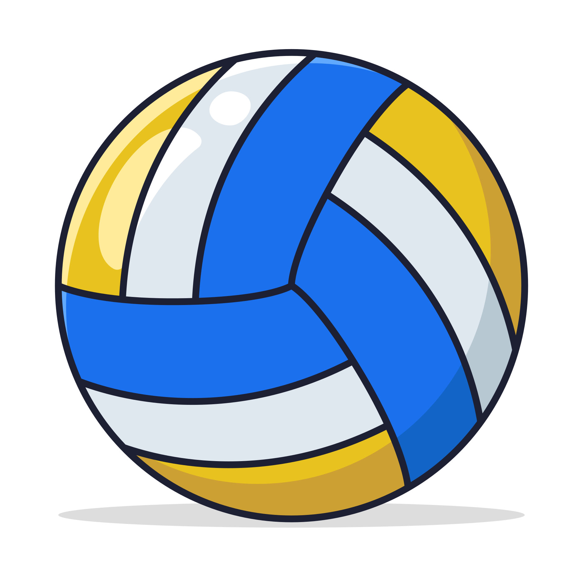 Volleyball Website